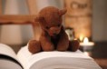 /album/boock-flowers/book-cute-teddy-still-life-f2156330f69ee079e67b9fcfa47a402f-h-jpg/