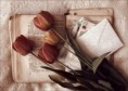 /album/boock-flowers/book-flowers-letters-love-tulip-13876c7ae970ffb2cbe945087180d12b-h-jpg/